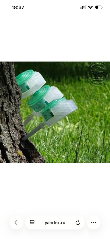 Стволовые иньекции сегодня